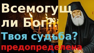 О предопределении. Какая судьба нам уготована??  Мир Православия