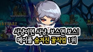 메이플스토리 직업 백과사전 : 루미너스편