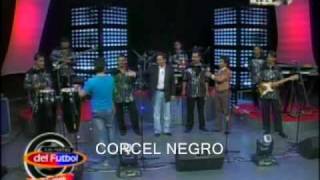 CORCEL NEGRO EL SHOW CON CHAVANA
