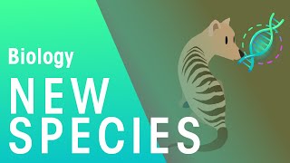Formation of New Species by Speciation | Biology for All | FuseSchool