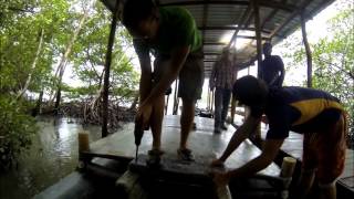 PVC Solar Powered Boat Day 17
