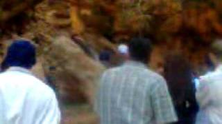 imozar plangeur