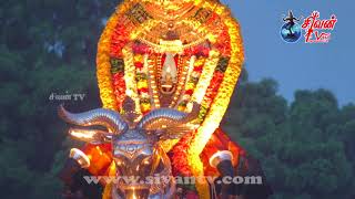 nallur kanthaswami kovil 15m thiruvila