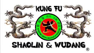 Kung Fu Shaolin 北蟷螂拳 Northern Praying Mantis Little 中國功夫 Master Paty Lee.