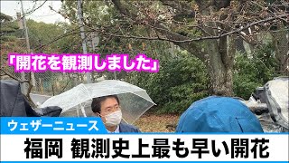 福岡も桜の開花発表　昨日の広島に続き観測史上最も早い開花