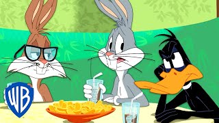 Looney Tunes en Español ???????? | El nuevo mejor amigo de Bugsy