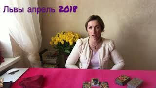 Львы апрель 2018