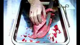 Quit Smoking Campaign - Tar