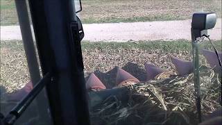 Claas Lexion 560 + Geringhoff / Zper kukurice 2018 INCAB / PD Dolný Lopašov