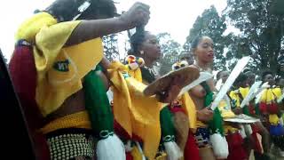 Paramount chief in Swaziland reed dance(30)