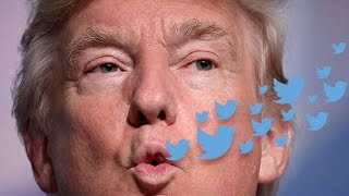 Trump Accuses "Miss Piggy" Of Sex Tape In 3AM Twitter Meltdown