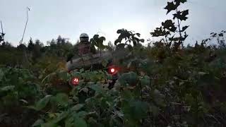 Квадроциклы штурмуют заросшую бурьяном горку