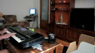 Roland E-300 Synthesizer