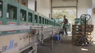 Allemagne : les entreprises veulent garder leurs employés demandeurs d'asile