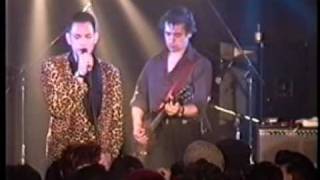Robert Gordon&Chris Spedding 1992(Love Me &Driving Wheele)