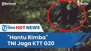 Pasukan TNI Berendam di Rawa Berhari hari Demi Jaga Keamanan KTT G20