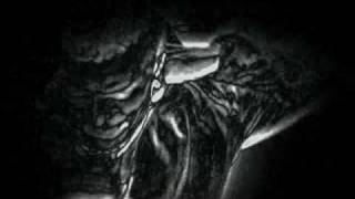 Terrorgazm - LSDA ( LSD Angel )