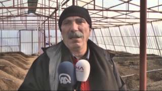 Tarımda 'solucan gübresi' dönemi