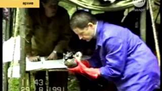 РЕН ТВ Пилот. Вся неделя. Медное