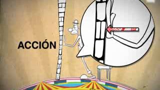 Principio de accion y reaccion