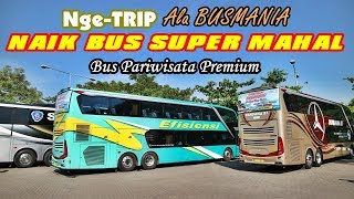 Tarif Sewa Fantastis | Serunya Nge-Trip Bareng 3 Bus Mewah dan Premium Sekaligus