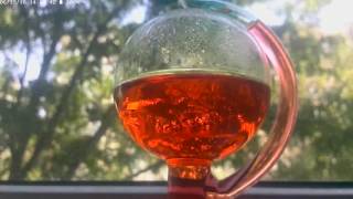 Стеклянный Барометр с жидкостью | Glass Barometer with color water