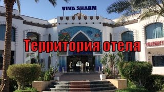 ТЕРРИТОРИЯ ОТЕЛЯ "VIVA SHARM". ШАРМ-ЭЛЬ-ШЕЙХ. ЕГИПЕТ