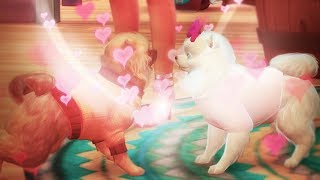 THE SIMS 4 MY DOGS HAD PUPPIES | Gameplay