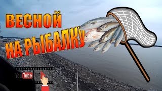РЫБАЛКА НА САЧОК ВЕСНОЙ!/ УСПЕЛИ ДО ЗАПРЕТА/ FISHING IN THE SPRING ON A NET! / MANAGED TO BAN.