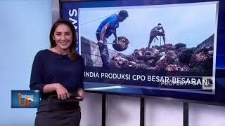 Pencipta Terra Luna Jadi Buron Hingga Inflasi September Melonjak