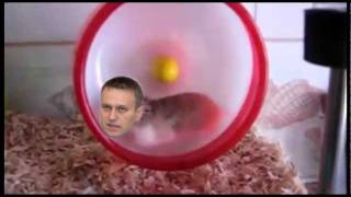 В мире животных политиков