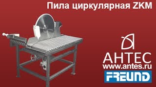 Автоматическая линия разделки мяса (циркулярная пила ZKM75) - FREUND - АНТЕС