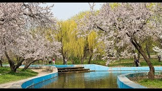 Одесса. Парк Победы. Odessa. Victory Park
