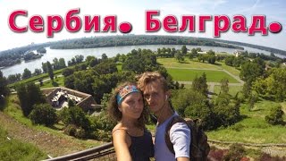 #СЕРБИЯ. #БЕЛГРАД. БИЗНЕС-ЗАЛЫ АЭРОПОРТА "ТИВАТ" и "НИКОЛА ТЕСЛА"
