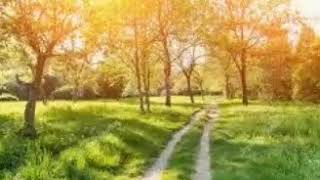 Struggle Jennings & Brianna Harness - Sunny Days