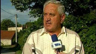 Stara kuka vo Brusnik gi plasi zitelite 22 06 2010
