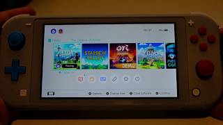 Nintendo Switch Lite (2019) has Motion Controls