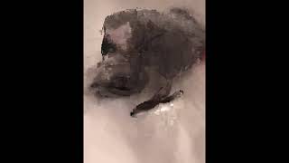 У попугая Жоры банный день