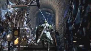 Dark Souls-Another Crystal Lizard