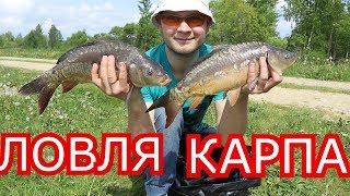 Ловля карпа и карася на большом рыбхозе