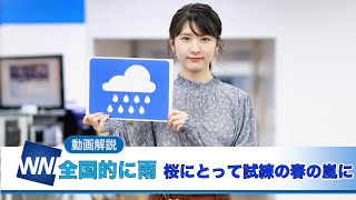 お天気キャスター解説 3月28日(日)の天気