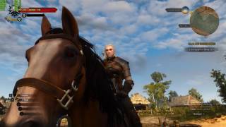 The Witcher 3 (ULTRA SETTINGS) PHENOM x6 1055T | GTX770 (4GB) | RAM 8GB