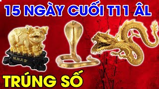 KHỔ THẾ ĐỦ RỒI, TOP 3 CON GIÁP TRÚNG SỐ KÉP 335 TỶ, MUA 2 KÉT SẮT NHÉT KHÔNG HẾT TIỀN. ĂN TẾT CỰC TO