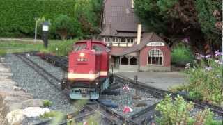 Harzkamel mit Talbot-Rollwagenzug