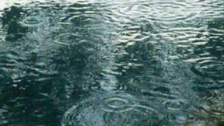 I Watch The Rain (Hi Lilli Hilo) - a song for Peter