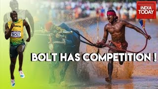Bolt Has Competition: Kambala Buffalo Jockey Covers 100 M In 9.55 Secs