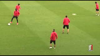 TF SPORT 26 3 2019 TG TELEFOGGIA