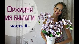 Невероятные ОРХИДЕИ из гофрированной бумаги. Часть 2