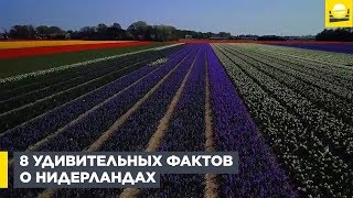 8 удивительных фактов о Нидерландах