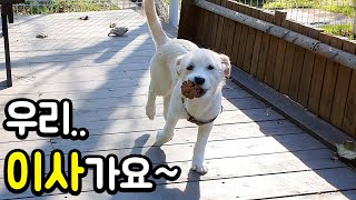 똥개r가족 이사가는 날★ (호롤로~)